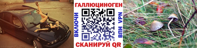 Галлюциногенные грибы GOLDEN TEACHER  цены   Шарыпово 